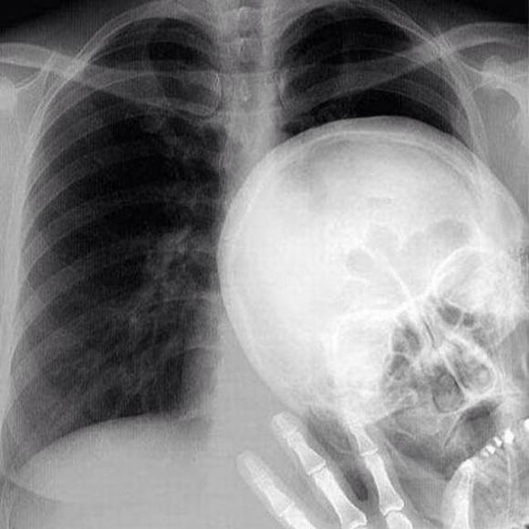 Meet your Posher, Jason - Picture 1 of 1